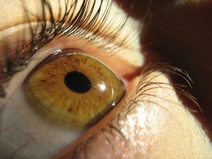 Стволовые клетки для лечения глаз